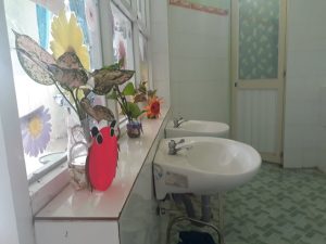 65310371_675203232927403_4336692486668812288_n